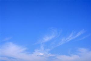 静岡市清水区の家族葬・一日葬・火葬式に対応――富士葬祭 双樹の特徴と施設案内