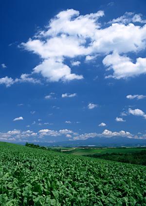 静岡県の家族葬・火葬・斎場案内｜低価格で安心の葬儀サービス【家族葬のタクセル】