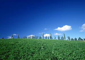 富士宮市三園平にある信頼の葬儀場！富士葬祭 三園平の特徴と実績