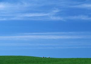 静岡県焼津市にある家族葬に最適な小規模葬儀場：富士葬祭焼津中央の詳細ガイド