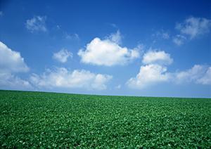 【静岡市駿河区の家族葬・葬儀場】富士葬祭 聖一色の特徴とサービス詳細ガイド