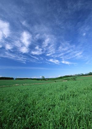 静岡県藤枝市の家族葬専門斎場｜家族葬のタクセル高柳の特徴とメリット