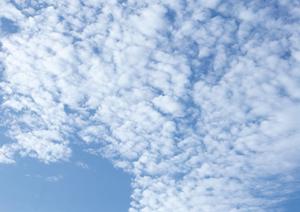 静岡県浜松市の家族葬専門斎場「家族葬のタクセル葵西」：安心低価格の家族葬サービスを提供