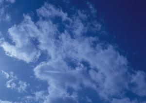 静岡県藤枝市にある信頼の葬儀場 ? 富士葬祭 藤枝城南の特色とサービス内容